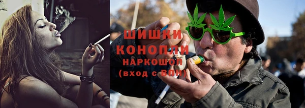 ГАЛЛЮЦИНОГЕННЫЕ ГРИБЫ Кулебаки