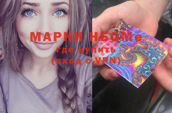 стаф Корсаков